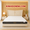 Nệm Foam Xuất Khẩu Venus Việt Mỹ cao cấp hỗ trợ nâng đỡ cơ thể
